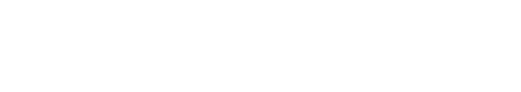 Forge Vision